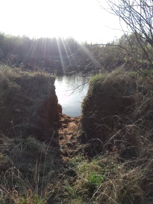 На полуострове старого Бобра