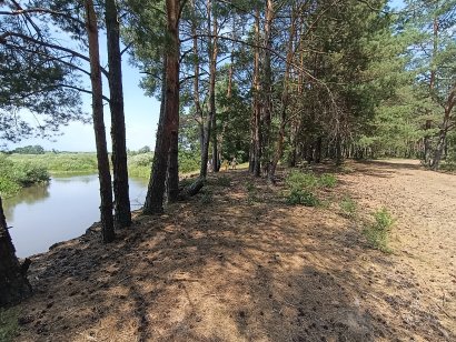 Винароб Чайковский